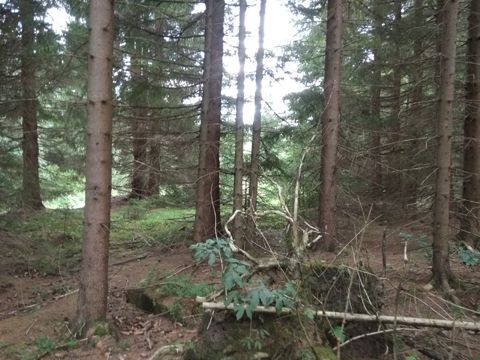 Foto 48